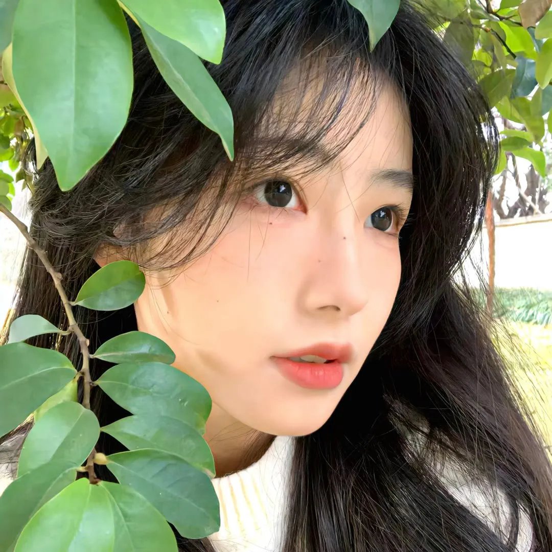 爱你就捧你