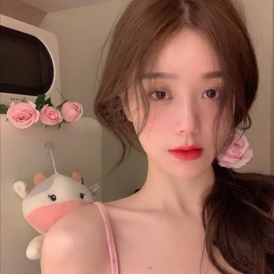 壳中少女 排气